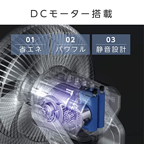 Amazon.co.jp: CHISYOU